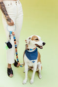 Load image into Gallery viewer, Eazy Breezy ~ O-Ring Leash & Collar Set
